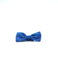 Noeud Papillon Pois