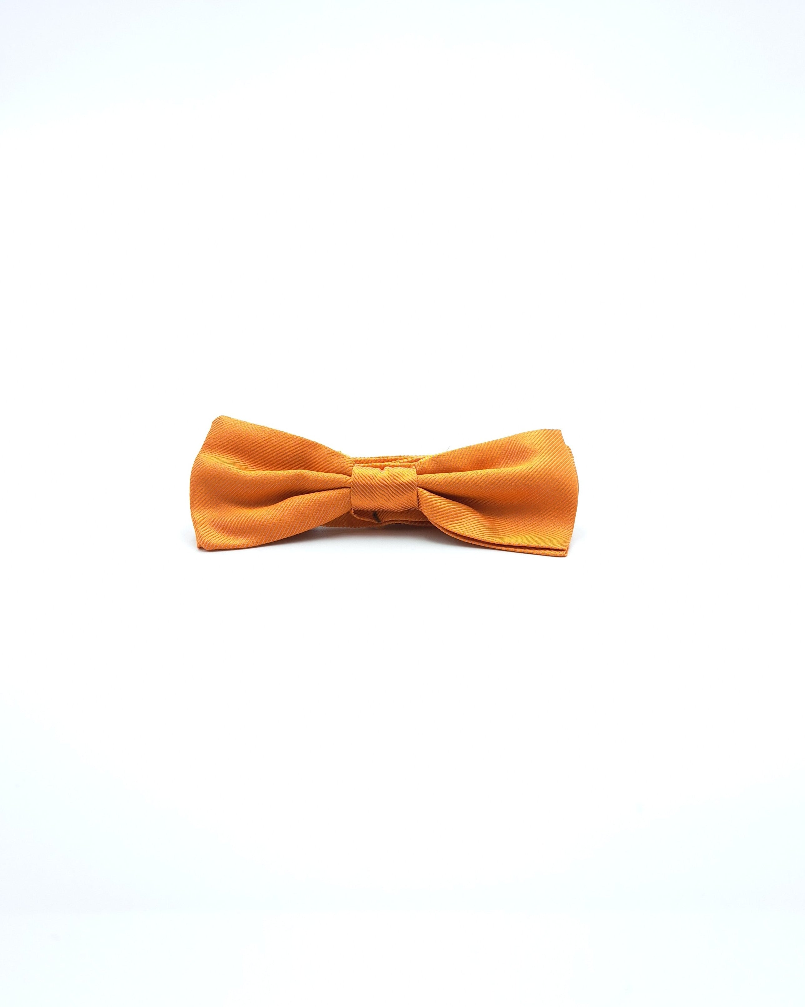 Noeud Papillon soie texture